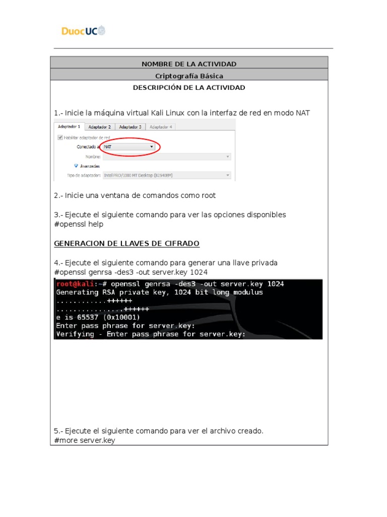 Criptografía Básica Pdf Criptografía De Clave Pública Secreto