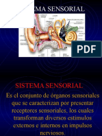 Sistemas Sensorial