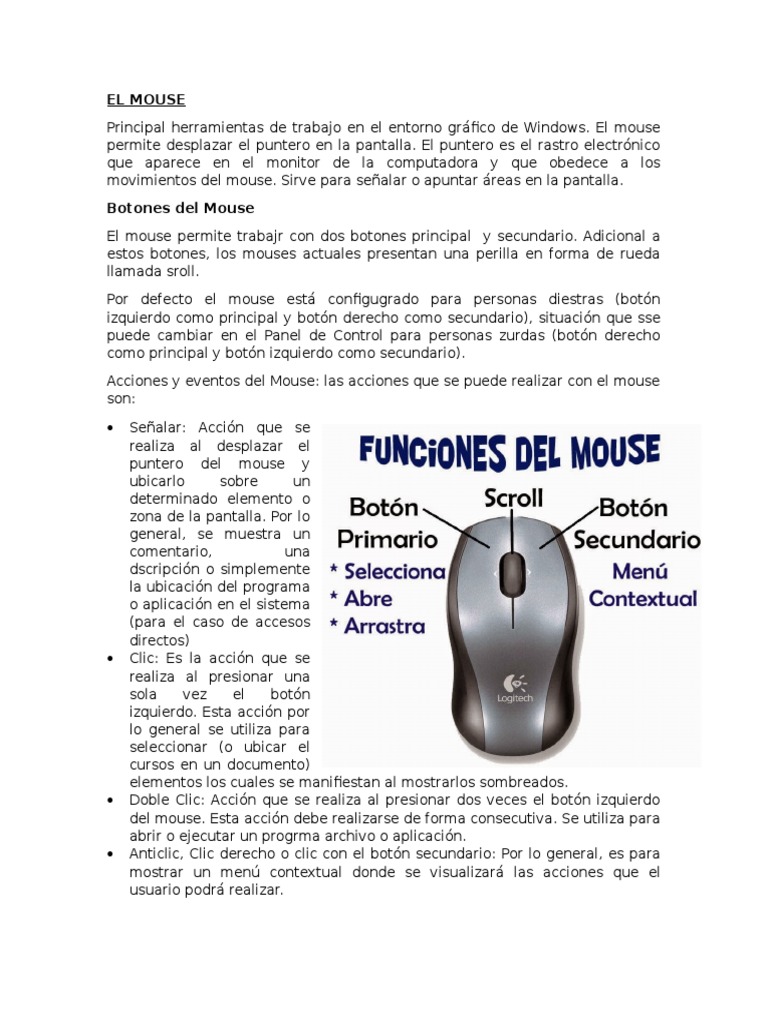 Mouse | PDF