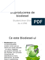 Bioproducerea de Biodiesel