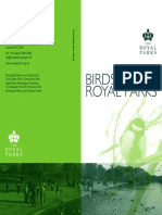 RP Birds Info Web