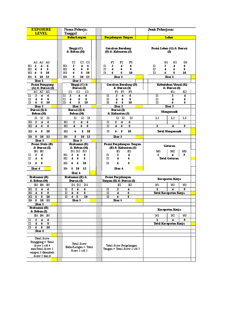 Exposure Level Assessment Guide | PDF