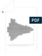 population pyramids student work