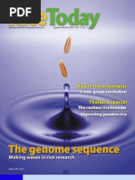 Download RiceToday Vol 5 No 1 by Rice Today SN34619923 doc pdf