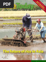 Download RiceToday Vol 5 No 3 by Rice Today SN34620294 doc pdf