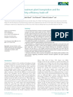 Hydraulic Limits On Maximum Plant Transpiration and The Emergence of The Safety-Efficiency Trade-Off