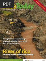Download RiceToday Vol 6 No 2 by Rice Today SN34620863 doc pdf