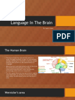 Enc 2135 Brain Language Areas