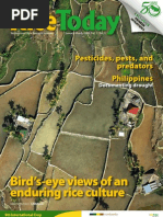 Download Rice Today Vol 7 No 1 by Rice Today SN34621924 doc pdf