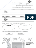 pruebadecienciasnaturalesclasificaciondeanimales-120816203441-phpapp02.doc