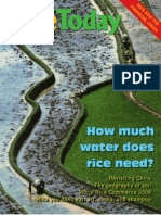 Rice Today Vol. 8, No. 1
