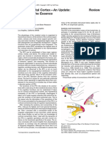 Fuste (2001) - The Prefrontal Cortex - An Update - Time Is of The Essence