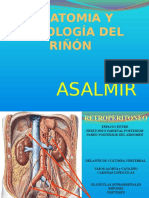 Anatomia y Fisiologia Renal KM
