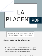 Placenta