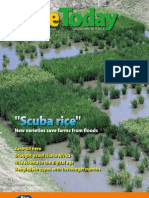 Download Rice Today Vol 8 No 2 by Rice Today SN34624016 doc pdf
