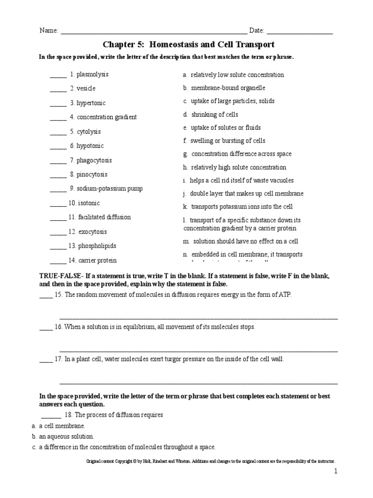 homeostasis and transport review wk Cell Membrane Osmosis