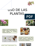USO DE LAS PLANTAS GALENO.pptx