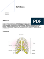 Caja Toracica Definicion 14579 Nalq4a PDF