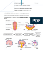Embriologia Moore - CAPITULO OCHO: Cavidades Corporales y Diafragma