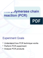 The Polymerase Chain Reaction (PCR)