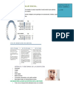 Nutrición y Salud Bucal