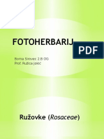 Fotoherbarij