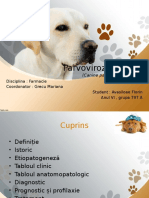 Parvoviroza Canina Bun