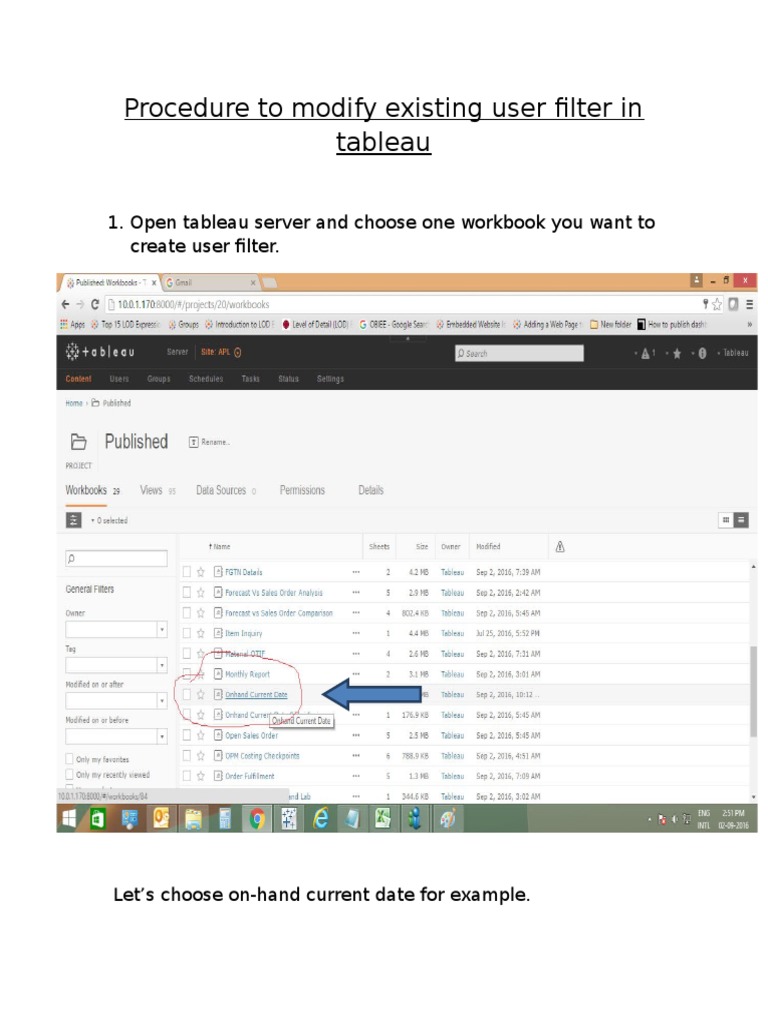 Tableau User Filters PDF