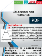 Selección Por Pedigree