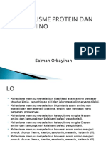 Metabolisme Protein Dan AA-blok 8-Salmah