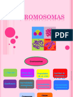 ppt-cromosomas1