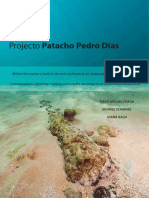 Projecto Patacho Pedro Dias