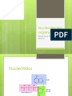Nucleotidolisis Organica