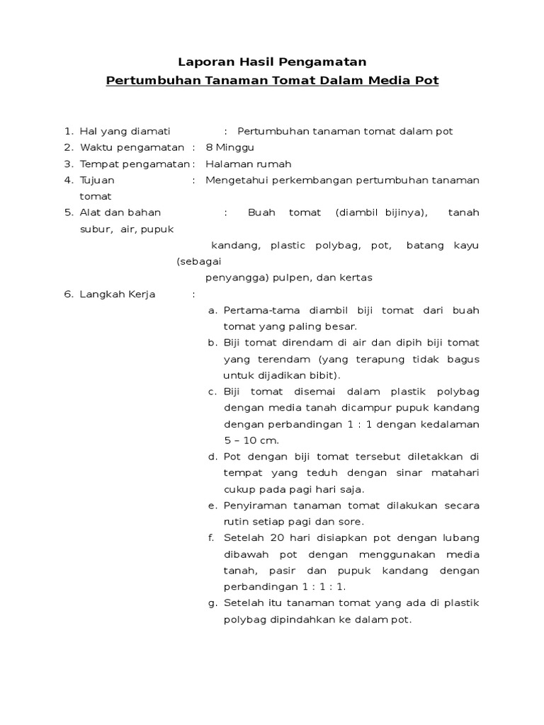 Contoh Laporan Hasil Pengamatan Untuk Sd Kelas 6 Kumpulan Contoh Laporan