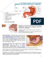 Úlcera y Cáncer Gástrico