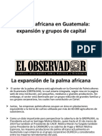 05 La Palma Africana en Guatemala