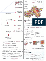 Processamento de Cerâmicas i