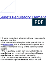 Gene's Regulatory Elements