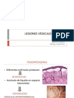 Lesiones Vesiculo-Bulosas Amgb