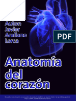 AnatomÝa Del Coraz N
