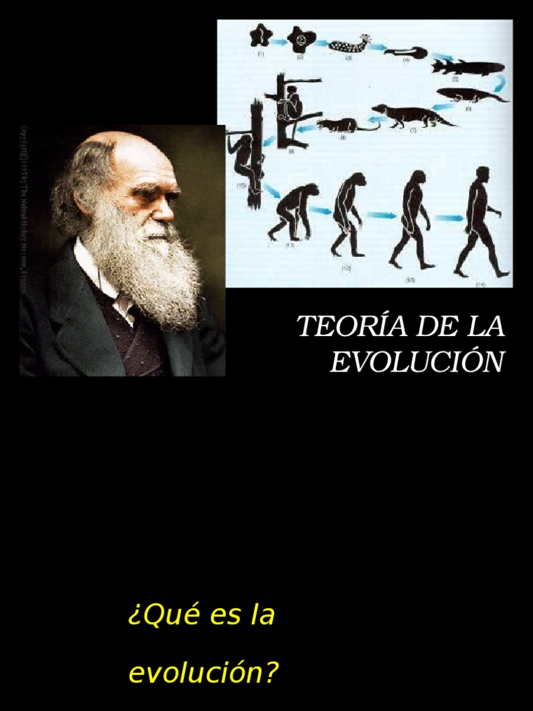 Evolución y selección natural según Darwin | PDF | Charles Darwin ...