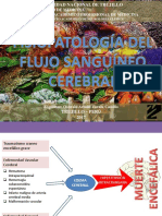 2 Fisiopatología Del Flujo Sanguíneo Cerebral