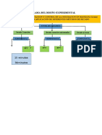 DIAGRAMA DEL DISEÑO EXPERIMENTAL.docx