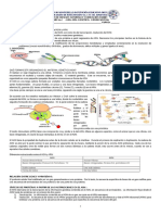 Guía Biología noveno primer periodo (1).docx