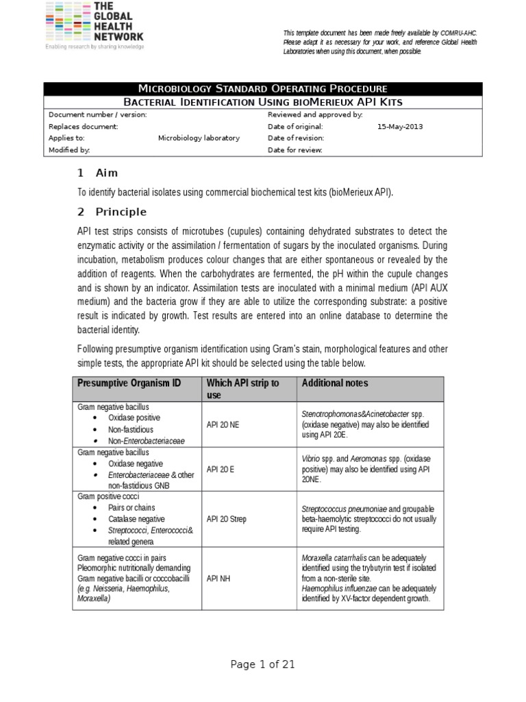Bacterial Identification API Kits PDF Gram Negative Bacteria Bacteria