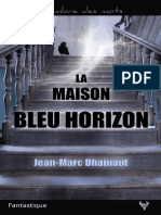 EXTRAIT Du Roman La Maison Bleu Horizon de Jean-Marc Dhainaut