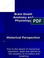 Brain Death Current Consensus