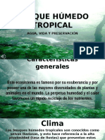 Bosque Húmedo Tropical Presentación