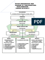 Struktur Organisasi Ikm 2
