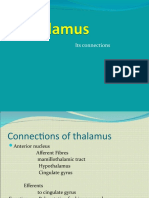 Thalamus and Its Connections